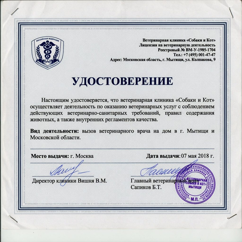 Фото удостоверения