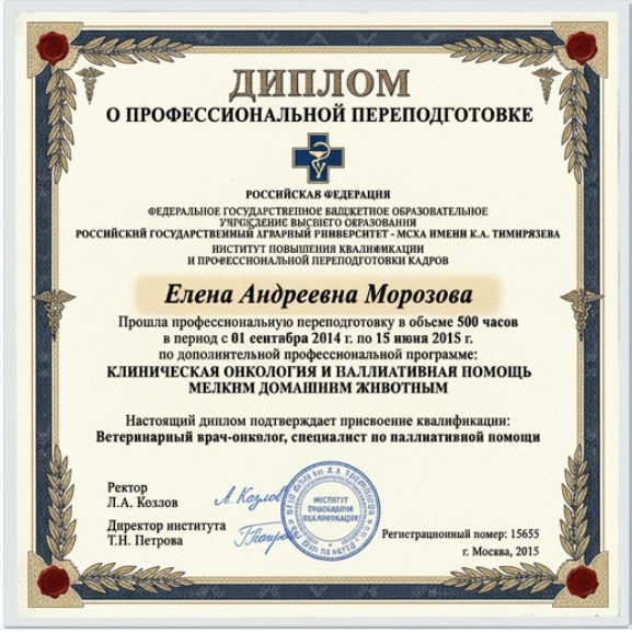 Диплом Елены Андреевны Морозовой по клинической онкологии и паллиативной помощи