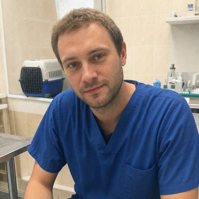 Фото-иллюстрация: ветеринарный стоматолог на домашнем визите